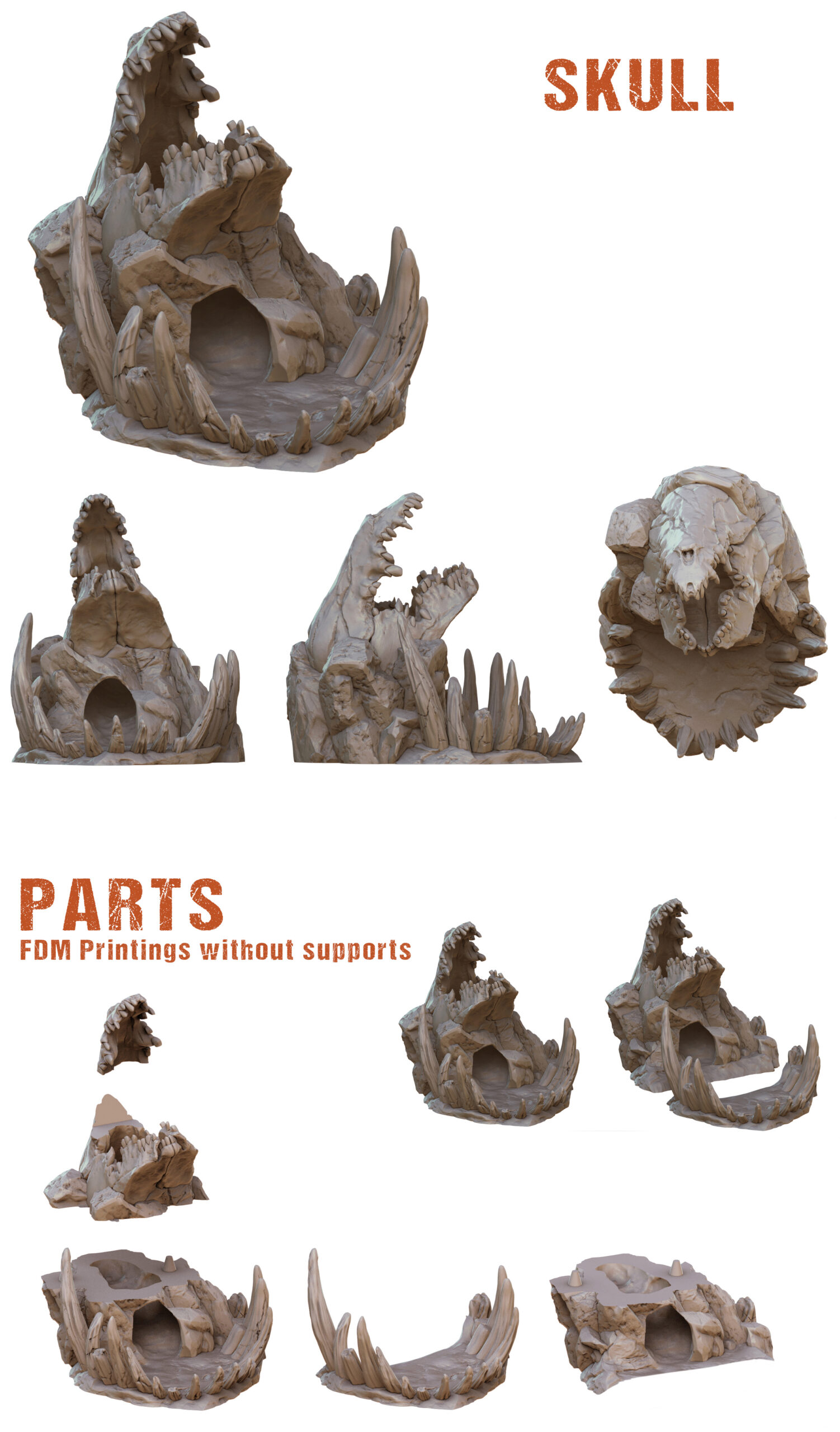 Skull