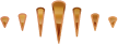 Vector